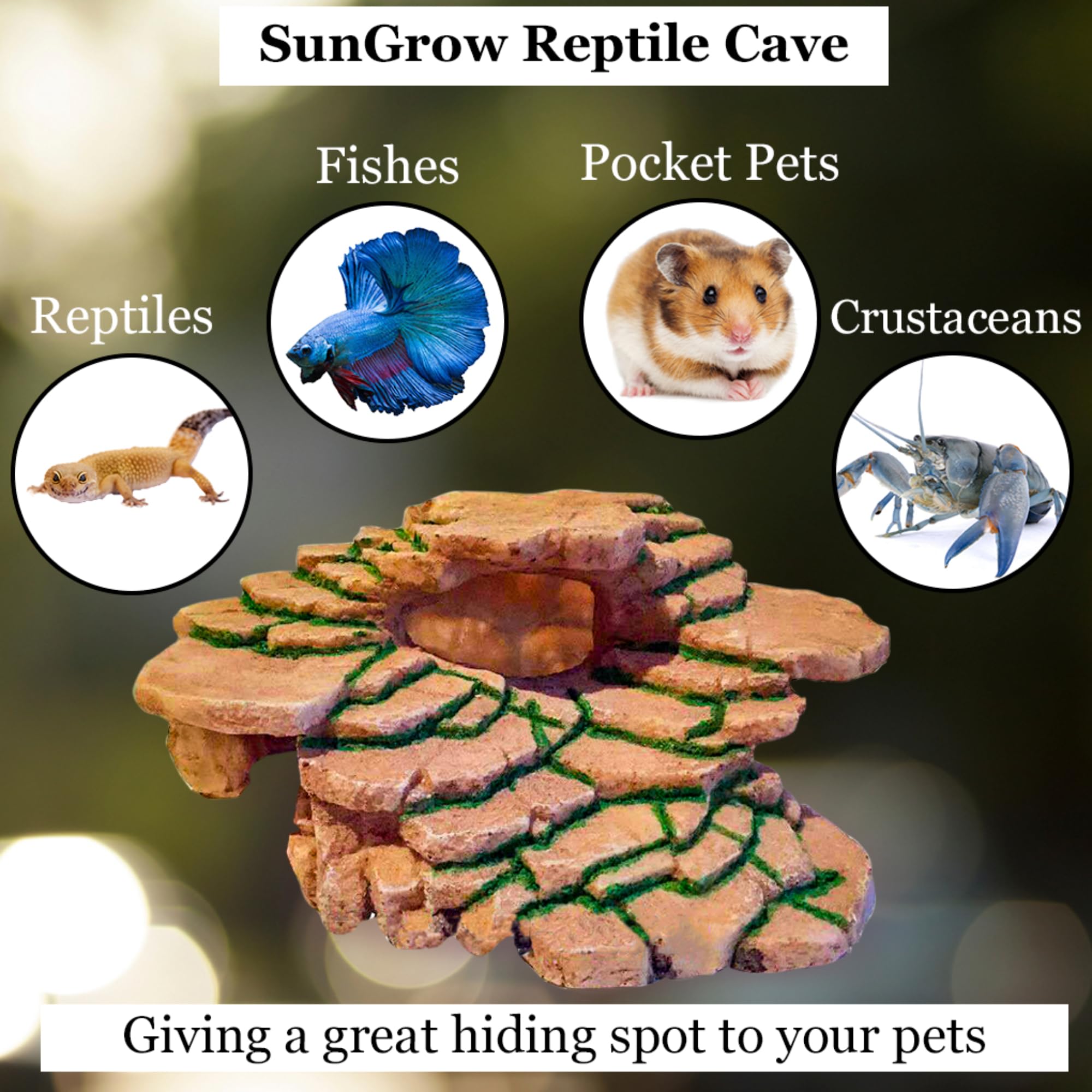 SunGrow Gecko Rock Hide Terrarium Scene — blends with dry or wet setups