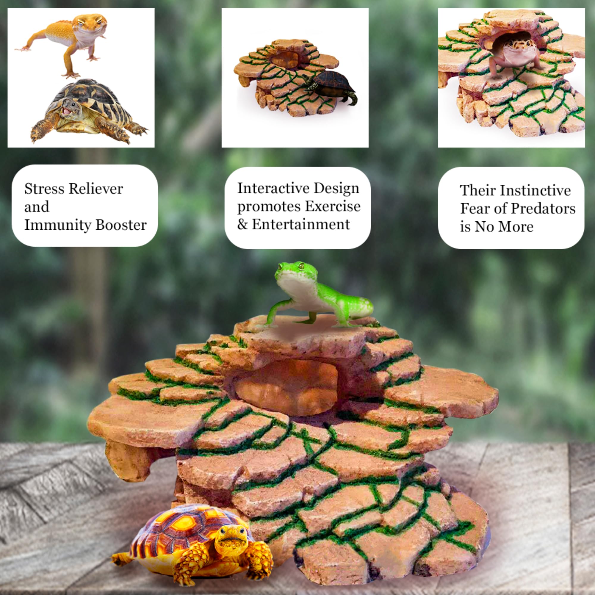 SunGrow Gecko Rock Hide Top View — encourages climbing and exploration