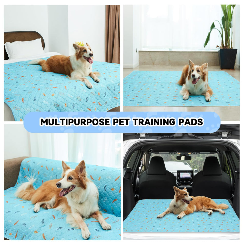 Sunheir 24x36 waterproof dog pad provides surface protection.