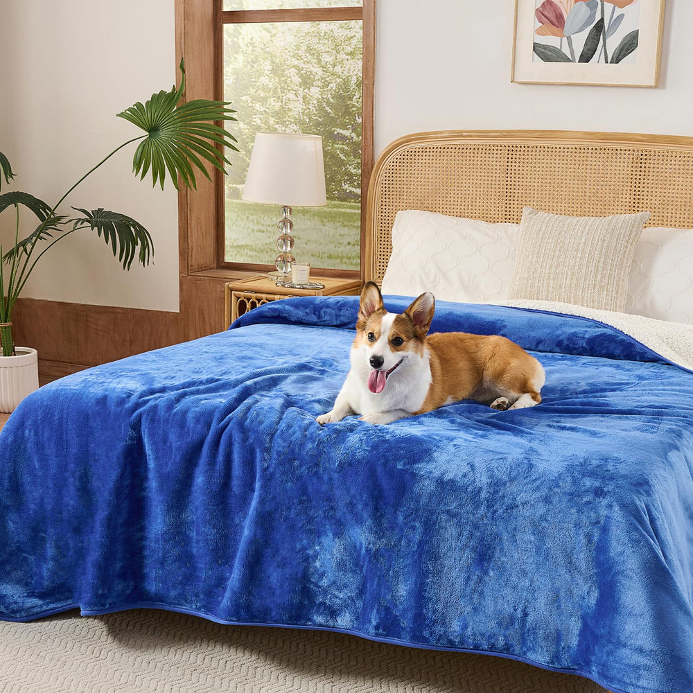 Sunheir extra-large blanket fits big dogs and large spaces