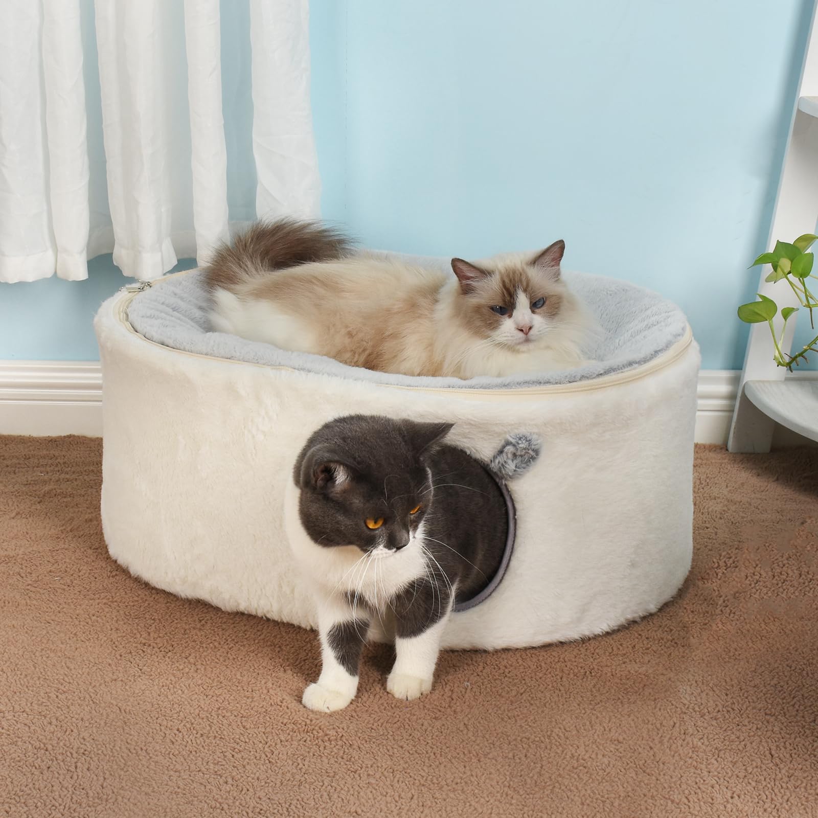 Sunhoo elevated cat bed dimensions 23-6x17-7x10-6 inches for lounging