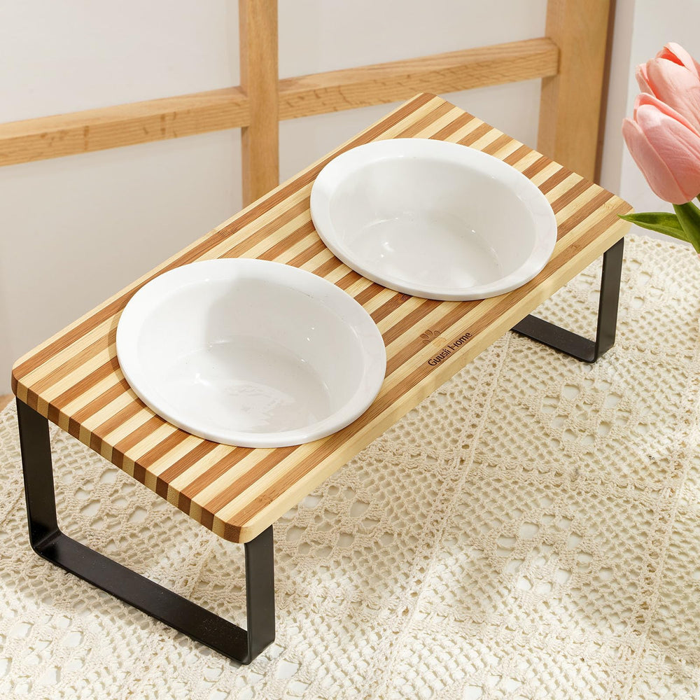 Sunhoo cat eating dish close-up highlights ergonomic tilt and smooth swallowing.