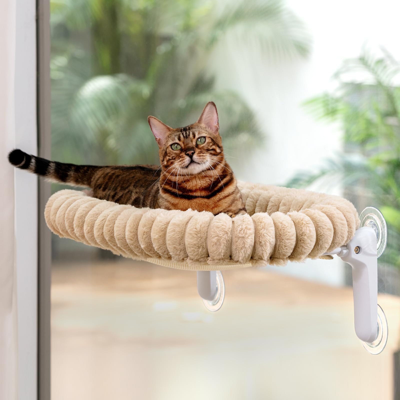 Sunhoo cat window bed dual-sided cushion offers warmth in cold and airflow in warm.