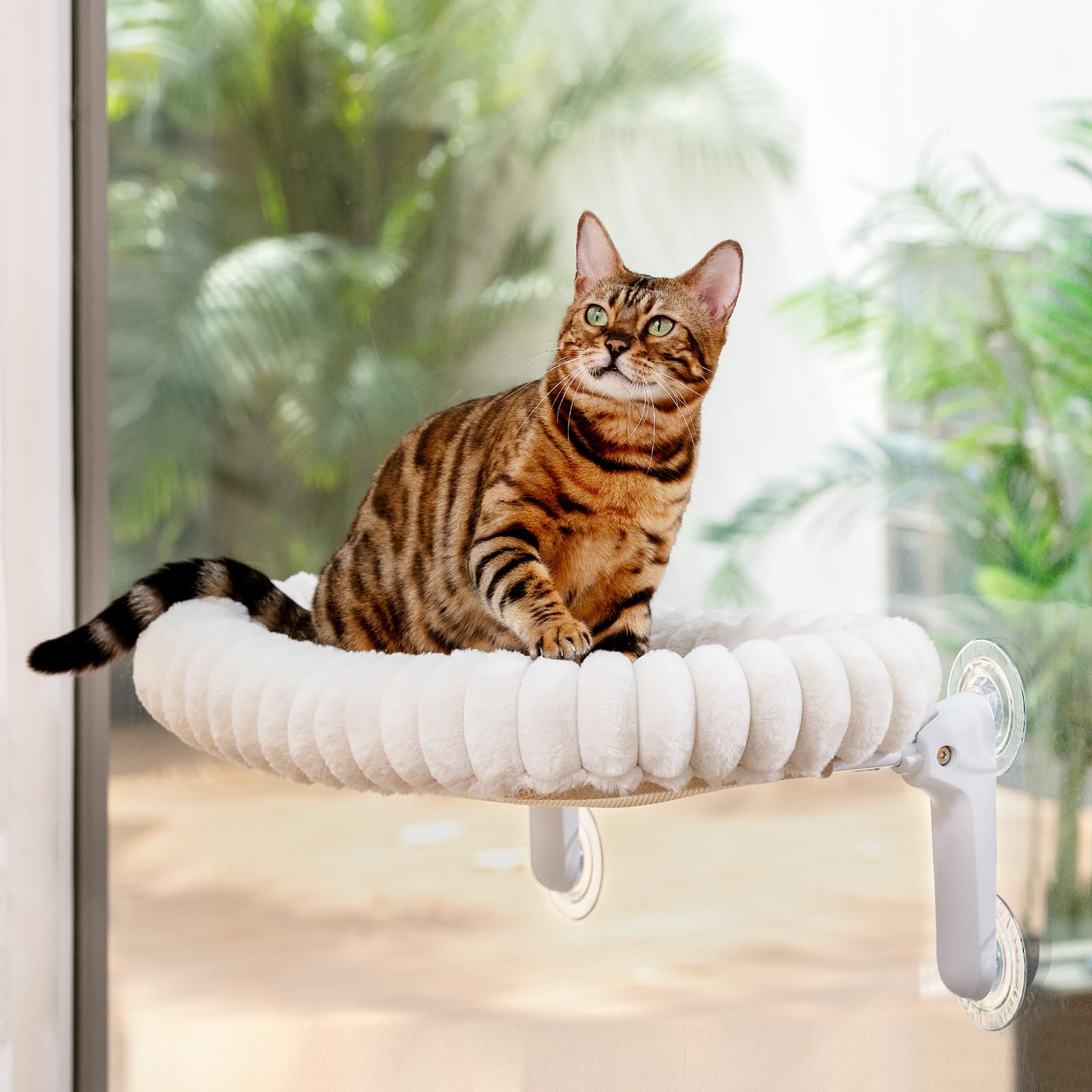 Sunhoo cat window perch bed size-compatible for mid-sized to large cats.