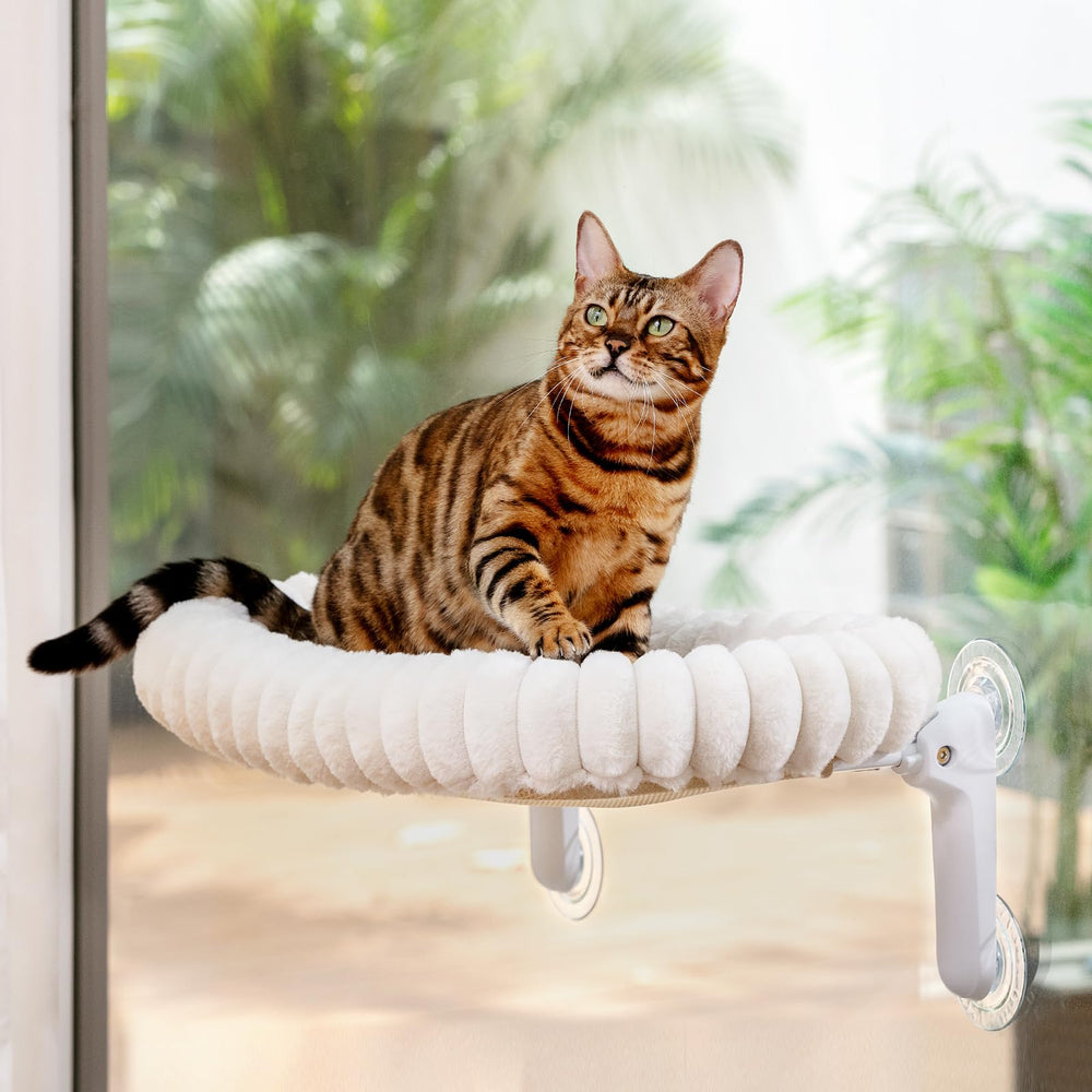 Sunhoo cat window perch bed size-compatible for mid-sized to large cats.