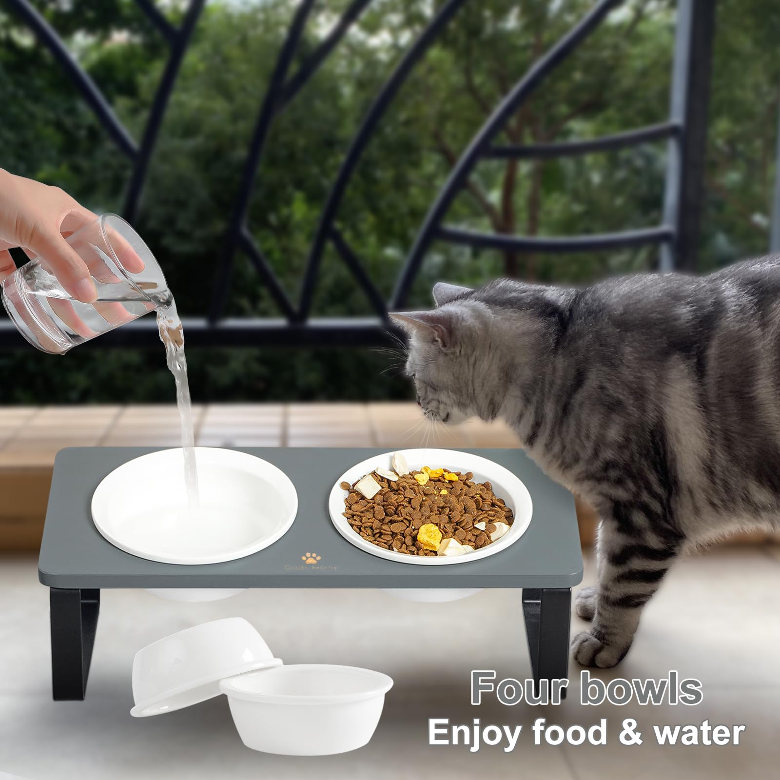Sunhoo four ceramic bowls support multi-cat meals with ease.