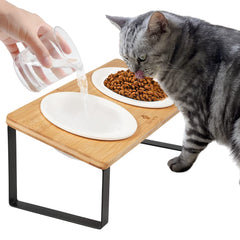 Sunhoo ceramic elevated bowls on tilted stand for comfortable feeding