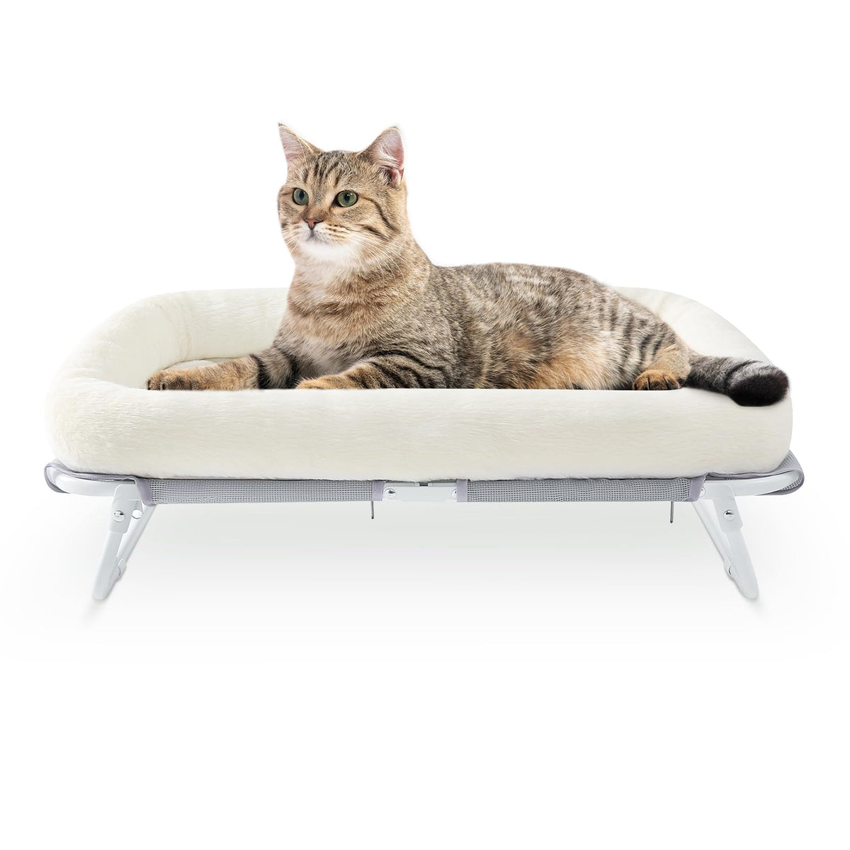 Sunhoo elevated cat bed frame assembly shows sturdy metal frame for reliable setup.