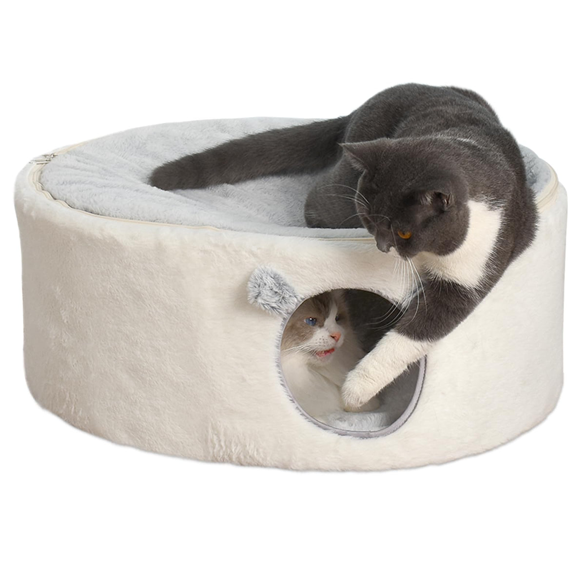 Sunhoo elevated cat bed top lounge area for relaxed naps