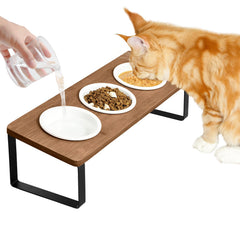 Sunhoo raised cat bowls tilted design for comfortable feeding with three bowls.