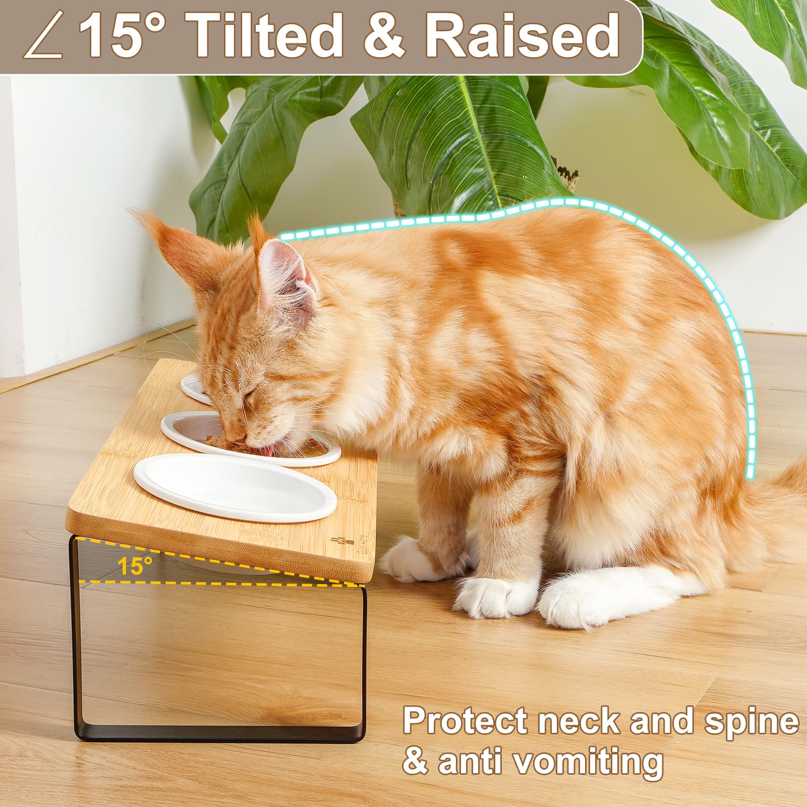 Sunhoo tilted elevated feeding position reduces neck strain during meals.