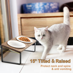 Sunhoo two 5.5 inch ceramic bowls fit securely in the stand