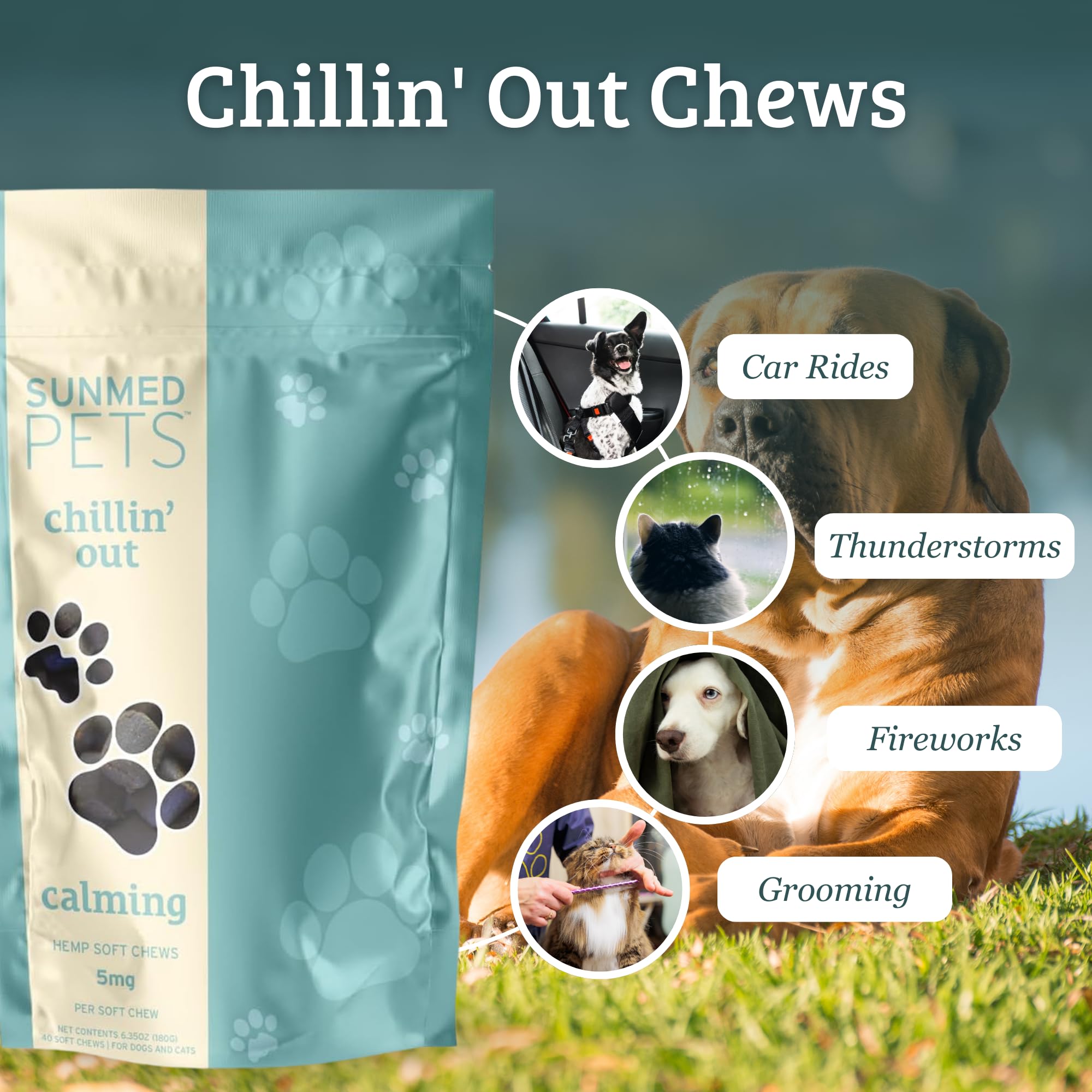 SunMed Chillin' Out dog chews chamomile highlighting calming aroma