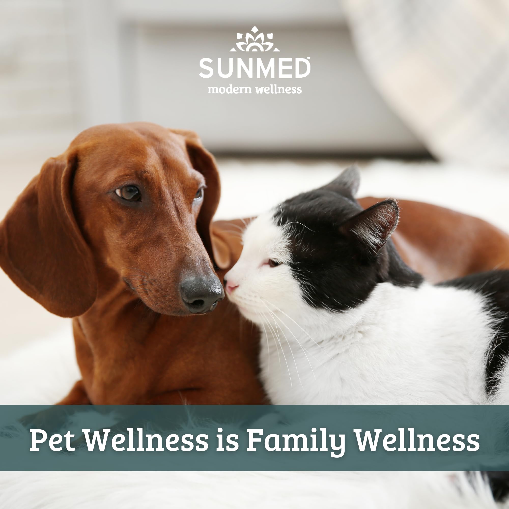 SunMed Chillin' Out dog chews travel use during trips