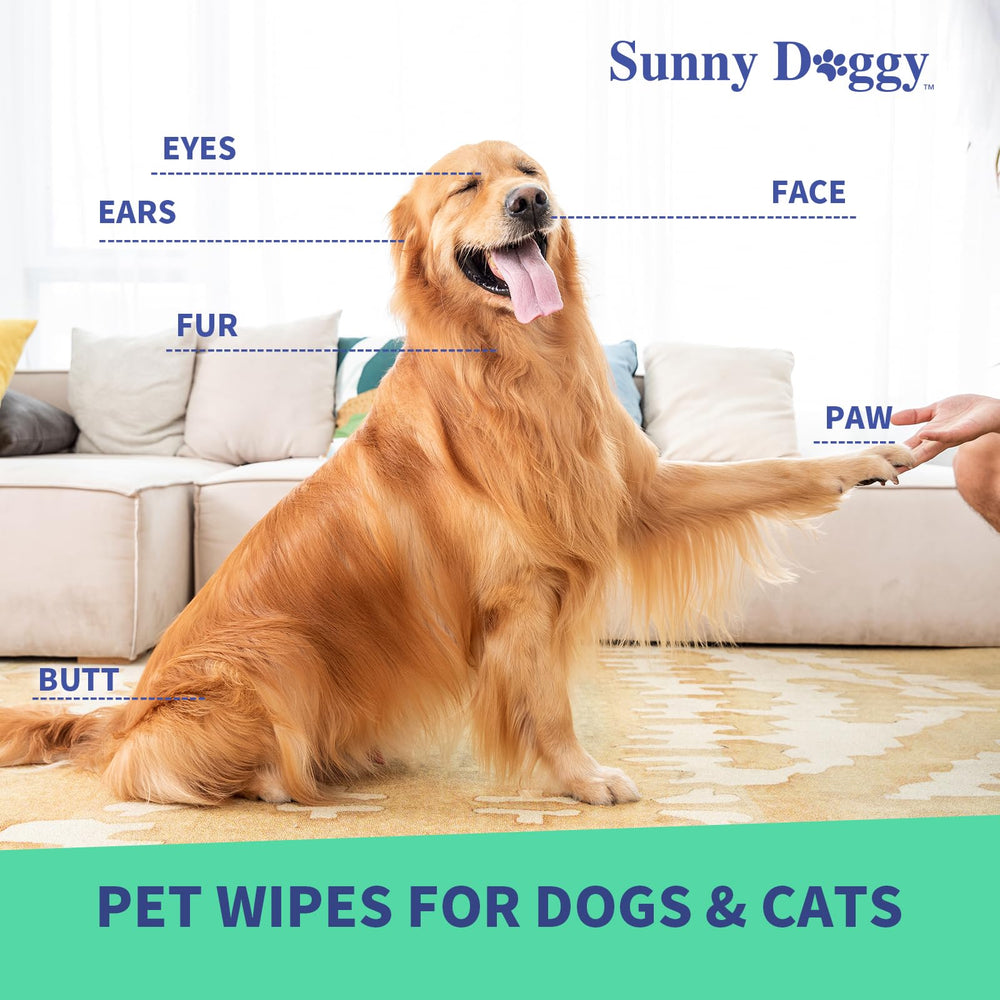 Sunny Doggy Pet Wipes paw-cleaning-closeup demonstrates gentle cleansing for dirty paws.