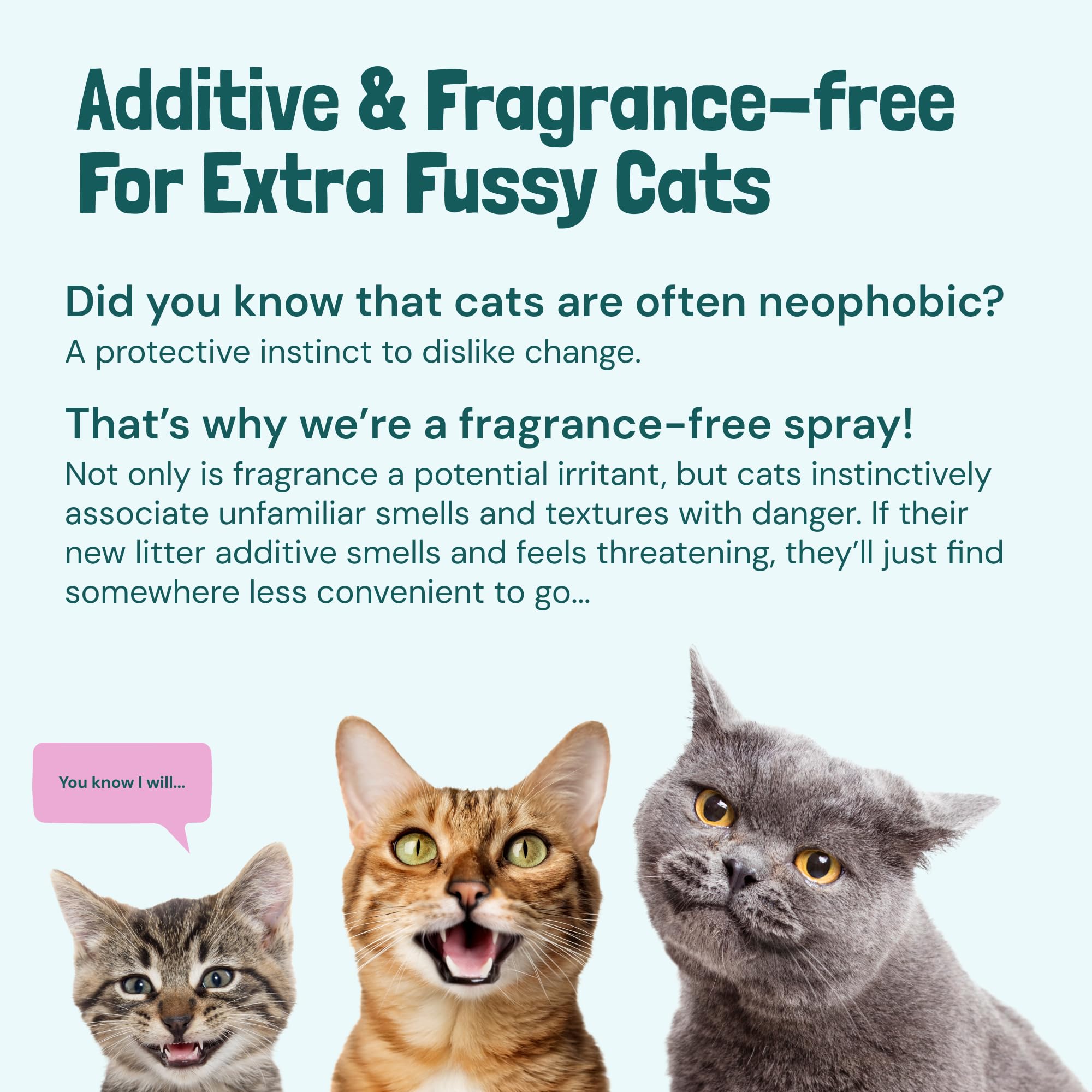Sunny & Honey cat room freshness boost after few sprays in living spaces.