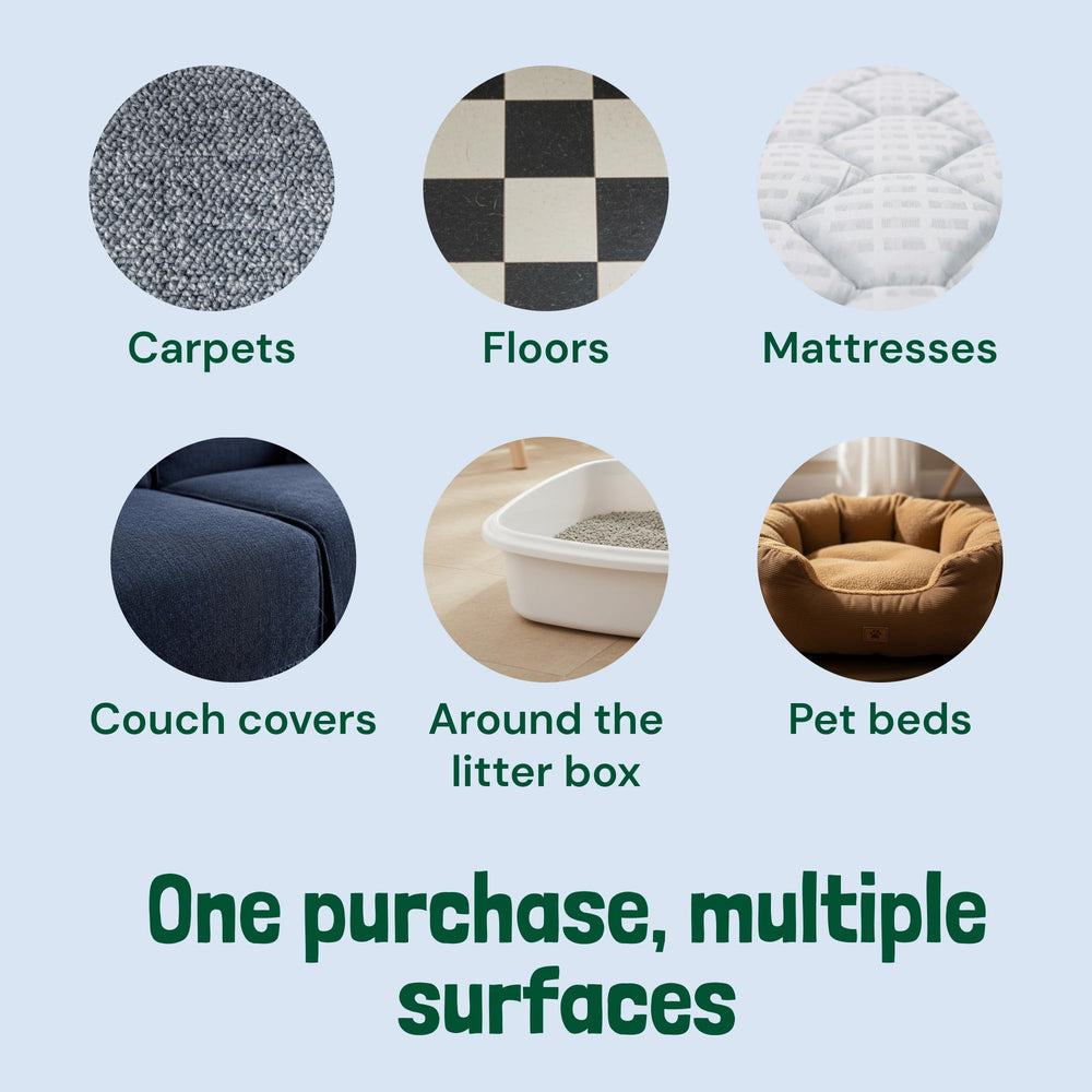 Sunny & Honey floor deodorizer usage on carpet demonstrates fresh scent.