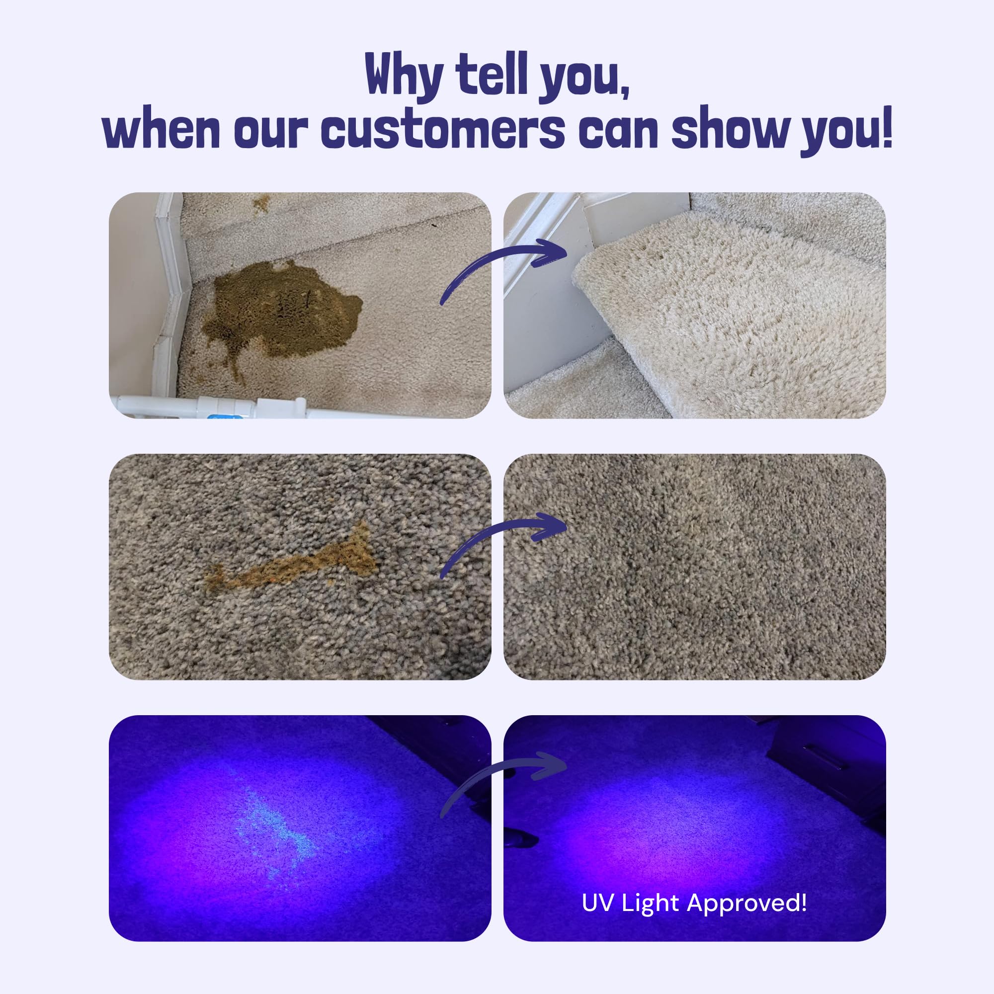 Sunny & Honey spray-action bottle on sofa demonstrates upholstery cleaning power