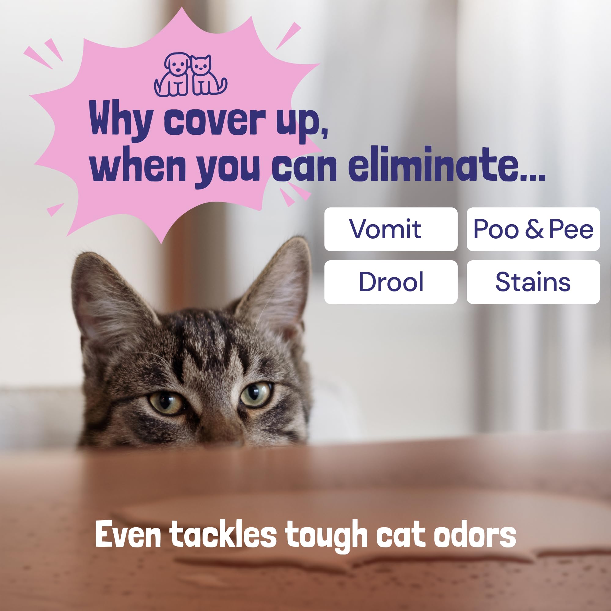 Sunny & Honey Upholstery Cleaner spray on couch shows fabric cleaning power