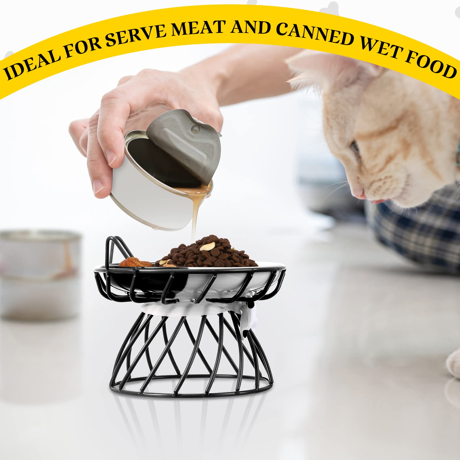 Sunnyray cat feeder portable elevated bowls convenient for trips and outdoor use.