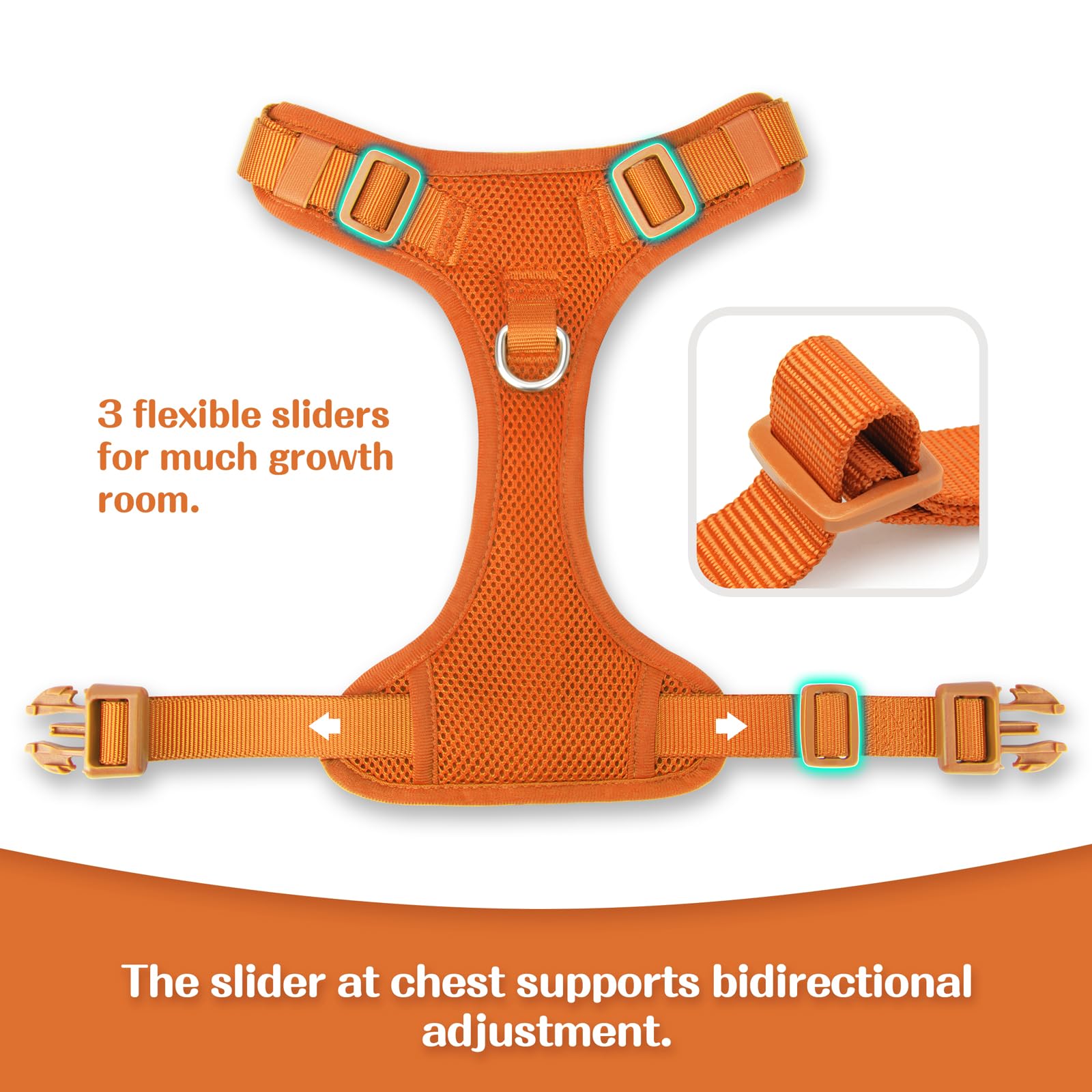 Sunraymascota 2-layer mesh keeps dogs cool on hot weather adventures.