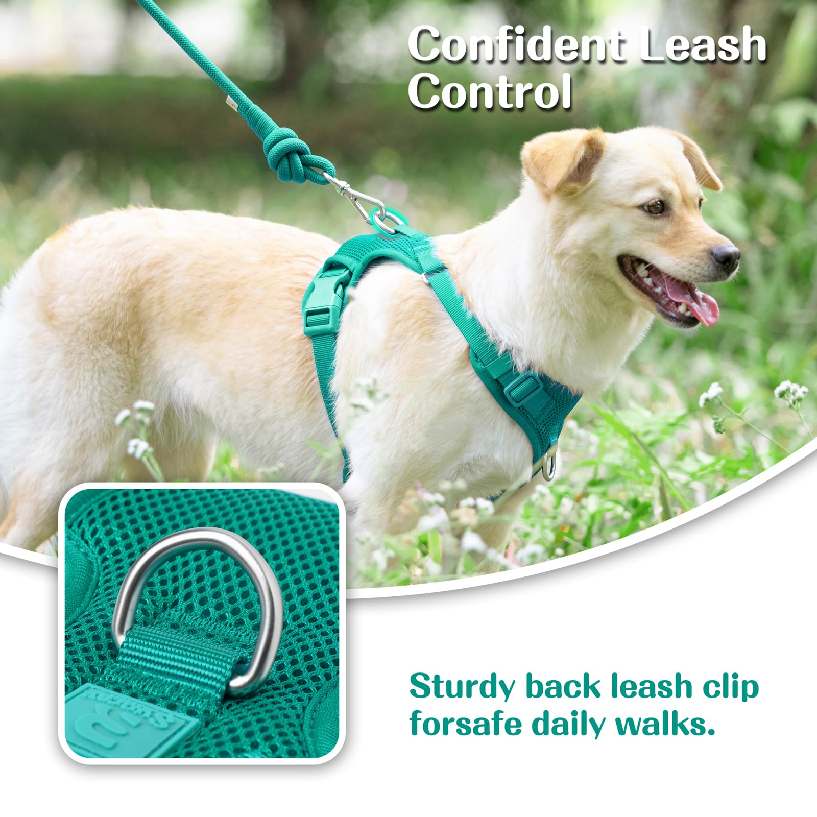 Sunraymascota adjustable sliders closeup for precise fit as dogs grow