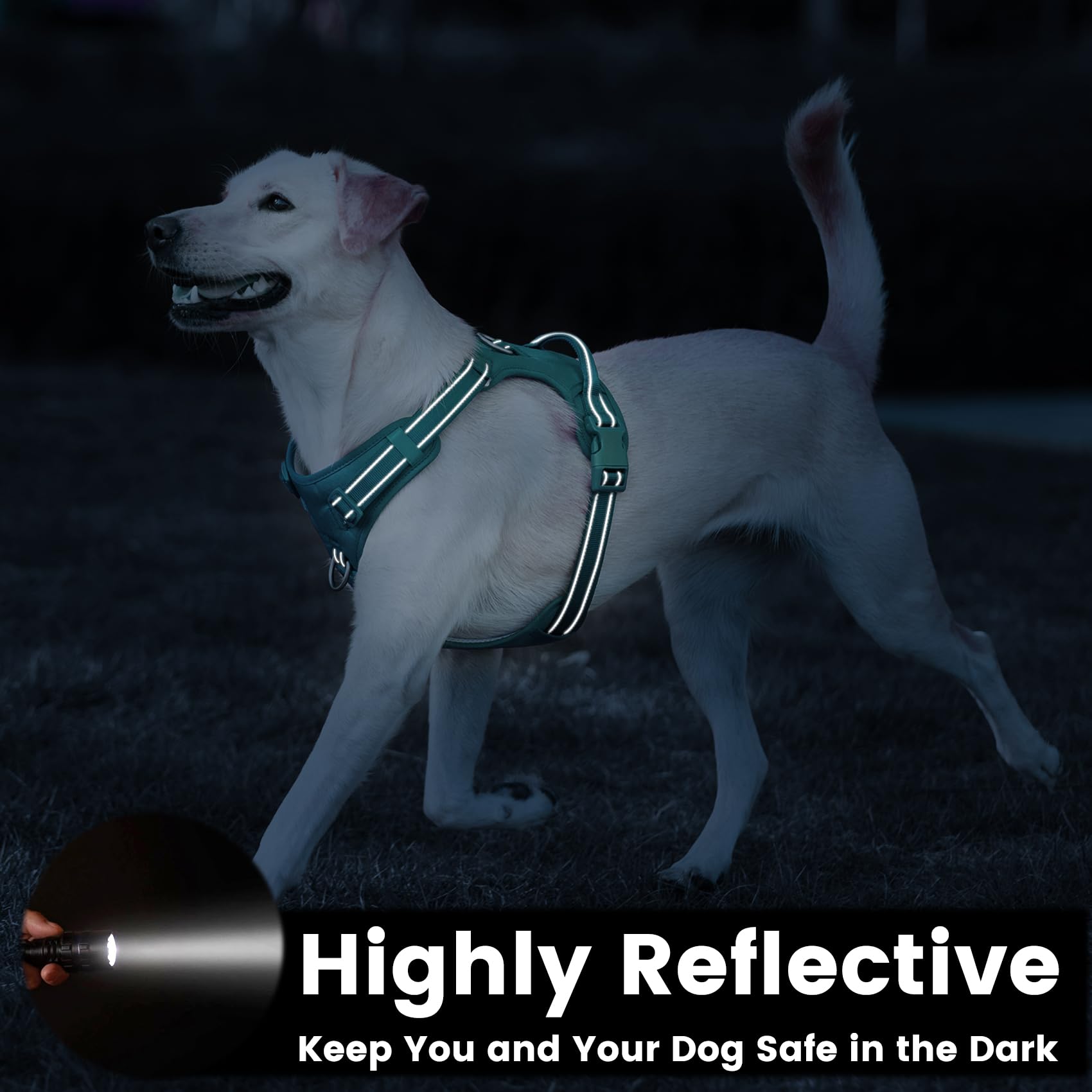 Sunraymascota 3-way adjustable harness offers a customizable fit