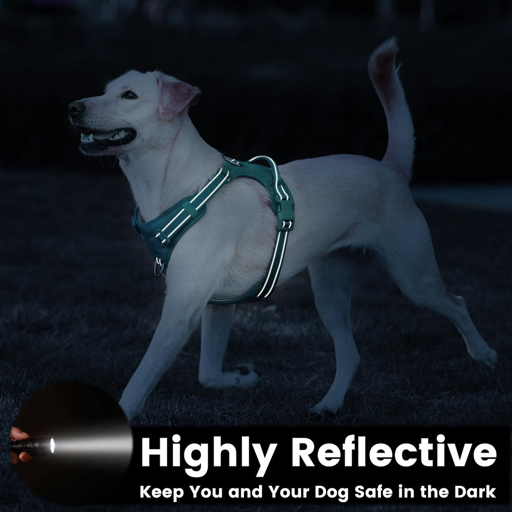 Sunraymascota 3-way adjustable harness offers a customizable fit