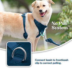 Sunraymascota adjustable-sliders harness ensures precise fit for growing dogs.
