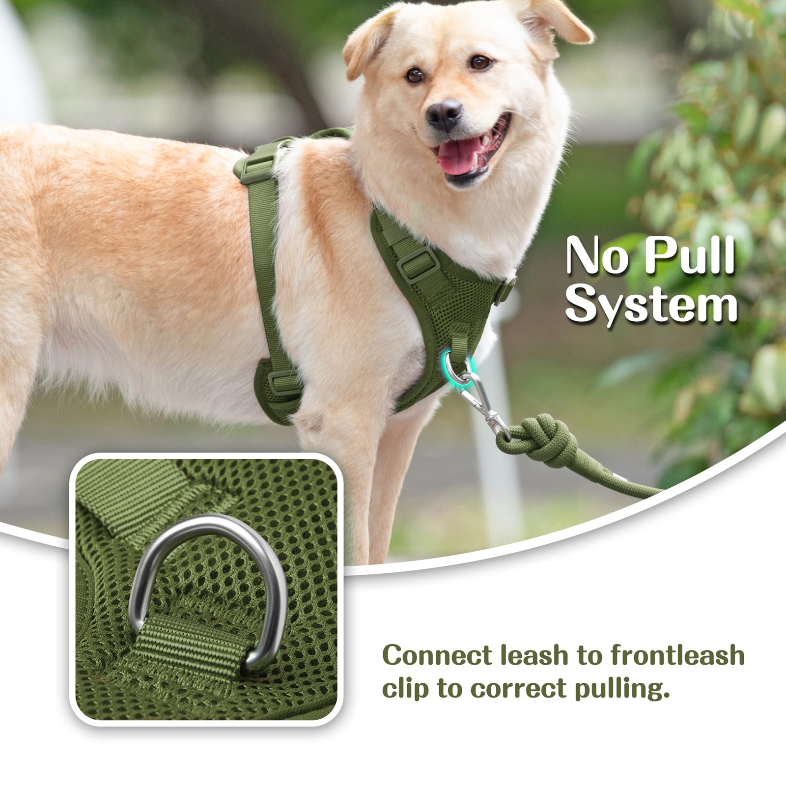 Sunraymascota adjustable sliders provide secure fit for growing dogs during adventures.
