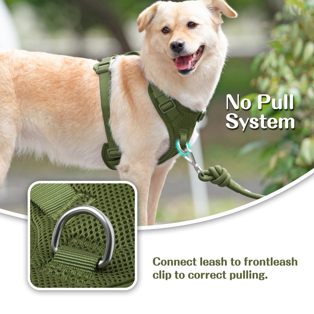 Sunraymascota adjustable sliders provide secure fit for growing dogs during adventures.