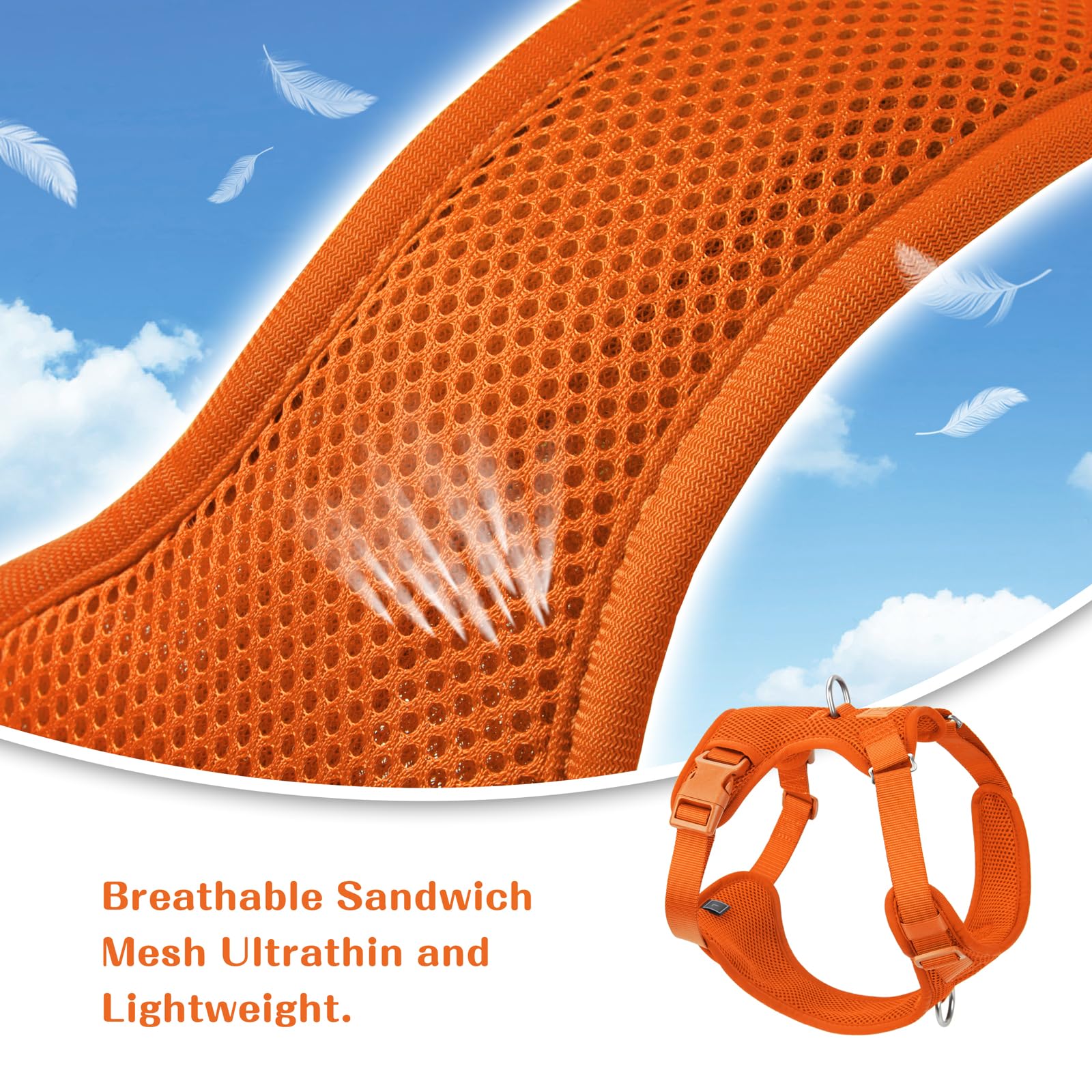 Sunraymascota adjustable sliders tailor fit for growing dogs and comfortable all-day wear.