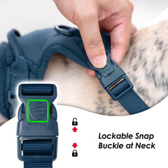 Sunraymascota back-d-ring harness with versatile leash options for daily walks