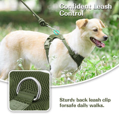 Sunraymascota no-pull harness back D-ring for casual walks and jogging.