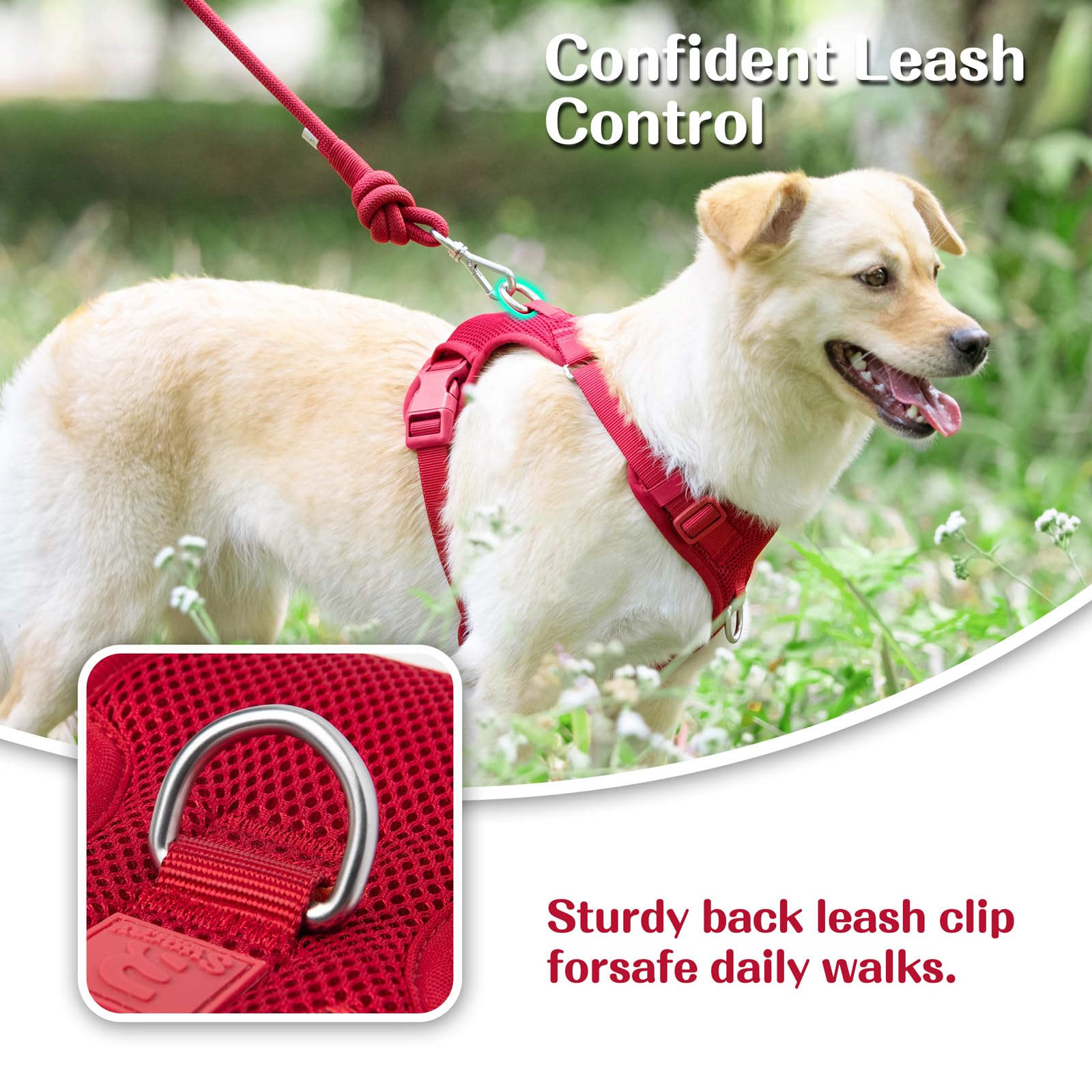 Sunraymascota breathable mesh harness keeps dogs cool on hot walks.