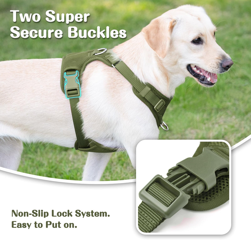 Sunraymascota breathable mesh harness stays cool and comfortable on hot days.