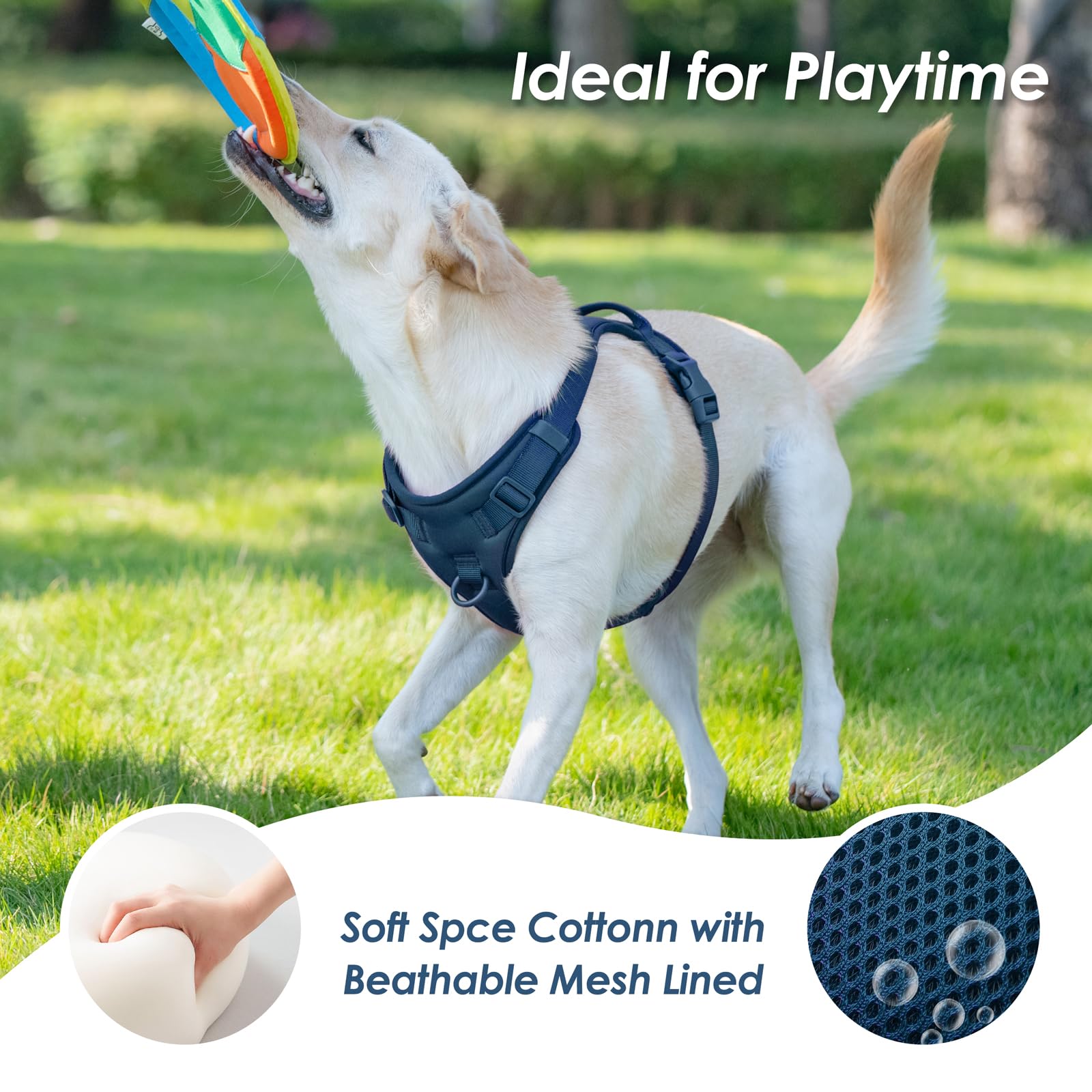 Sunraymascota breathable mesh liner for comfort during long wear