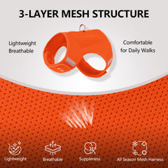 Sunraymascota dog harness D-ring leash attachment provides reliable control during outings.