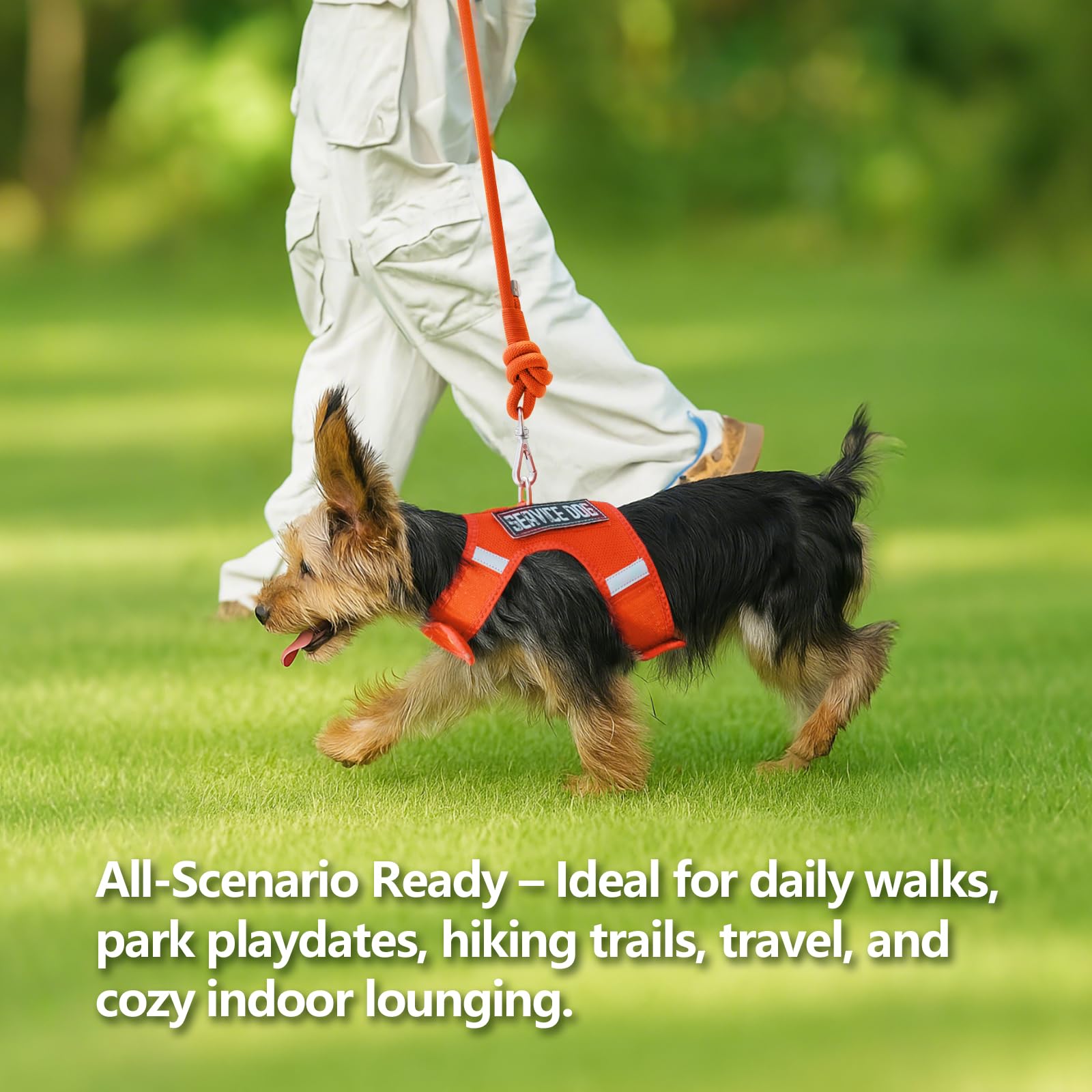 Sunraymascota dog harness easy-on-off buckle promotes quick secure fittings.