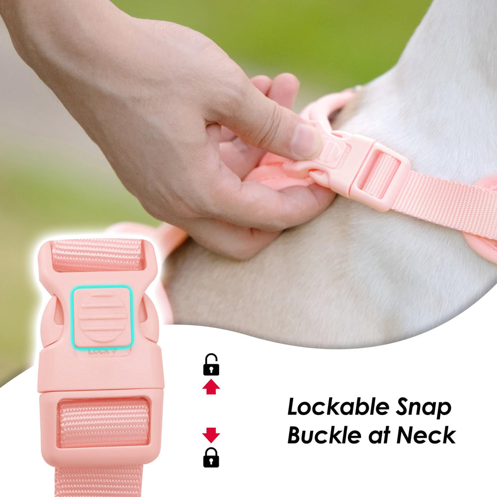 Sunraymascota easy-on/off locking-neck harness design reduces escape risk.