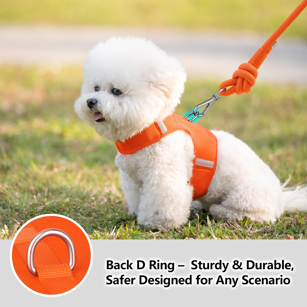 Sunraymascota dog harness ergonomic small-breeds design ensures comfortable mobility.