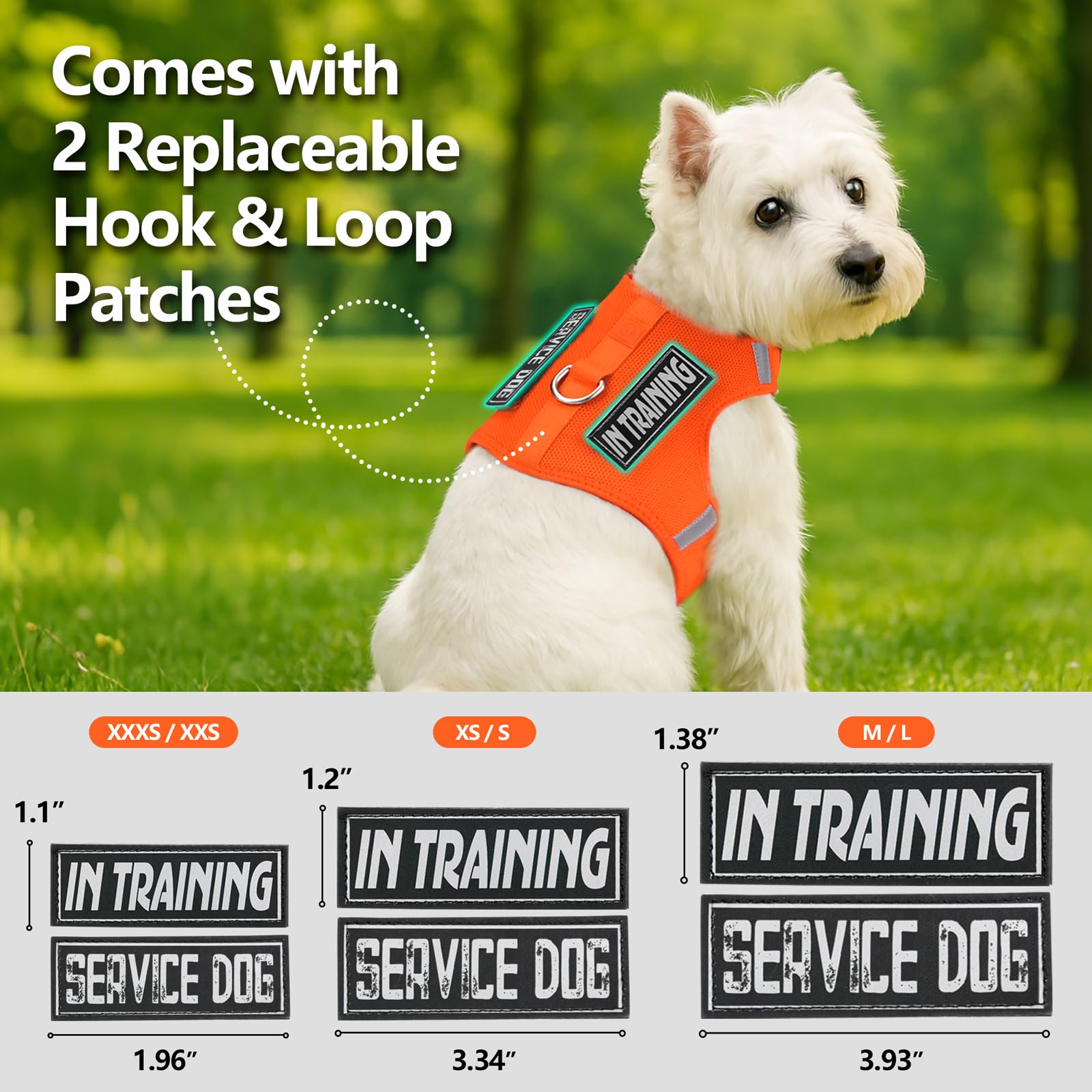 Sunraymascota dog harness lightweight air mesh keeps your puppy cool on long walks.
