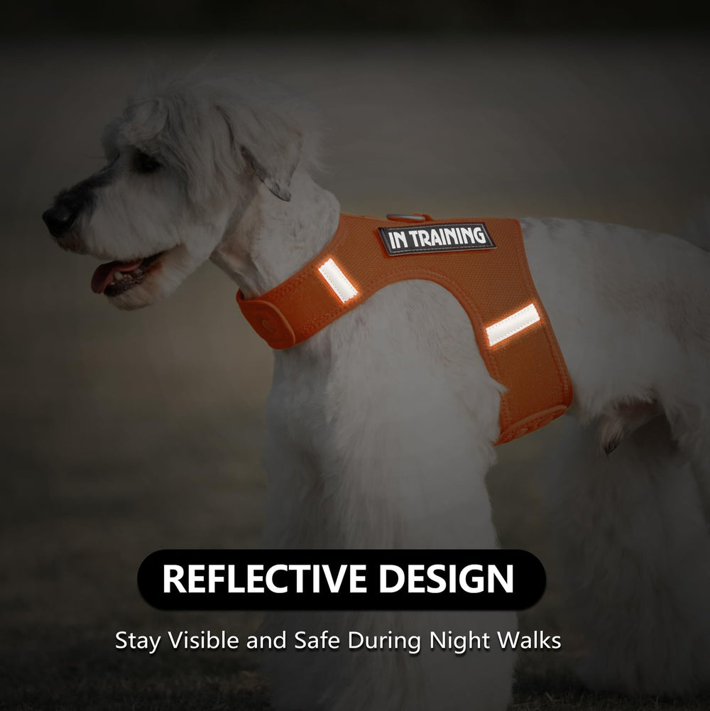 Sunraymascota dog harness patches interchangeable offer style variety and secure attachment.