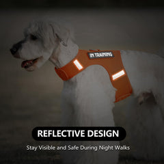 Sunraymascota dog harness patches interchangeable offer style variety and secure attachment.