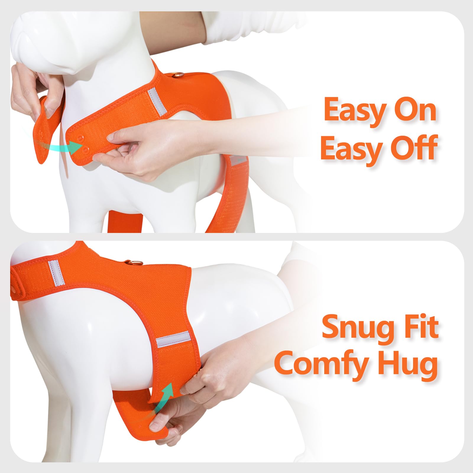 Sunraymascota dog harness reflective strips boost visibility in low light.