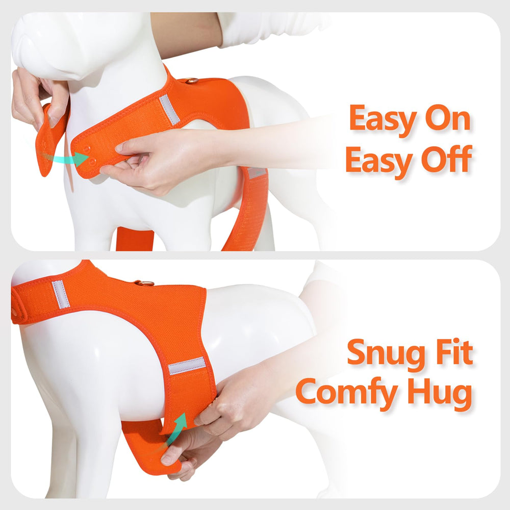 Sunraymascota dog harness reflective strips boost visibility in low light.