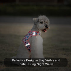Sunraymascota adjustable neck harness for secure small-dog fit