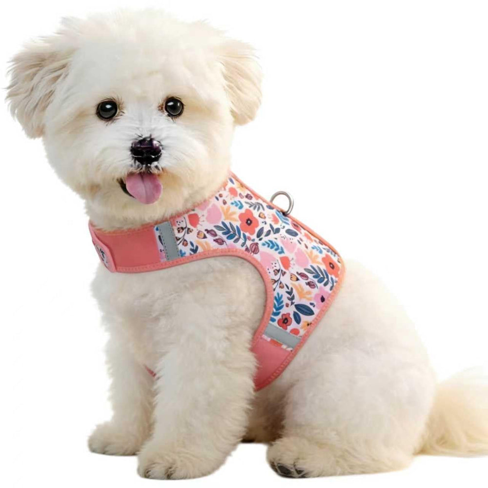 Sunraymascota small pink floral harness front view showing fit and comfort