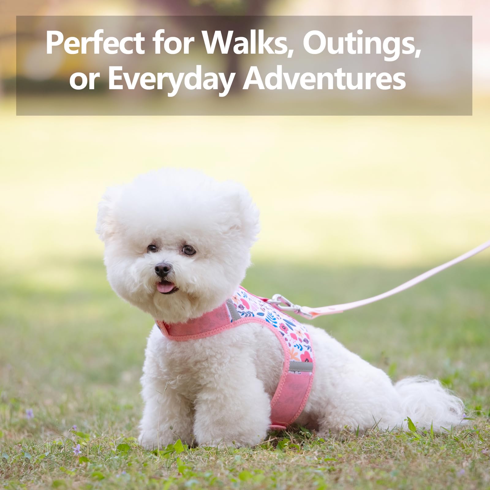 Sunraymascota soft edges reduce chafing on pink floral harness