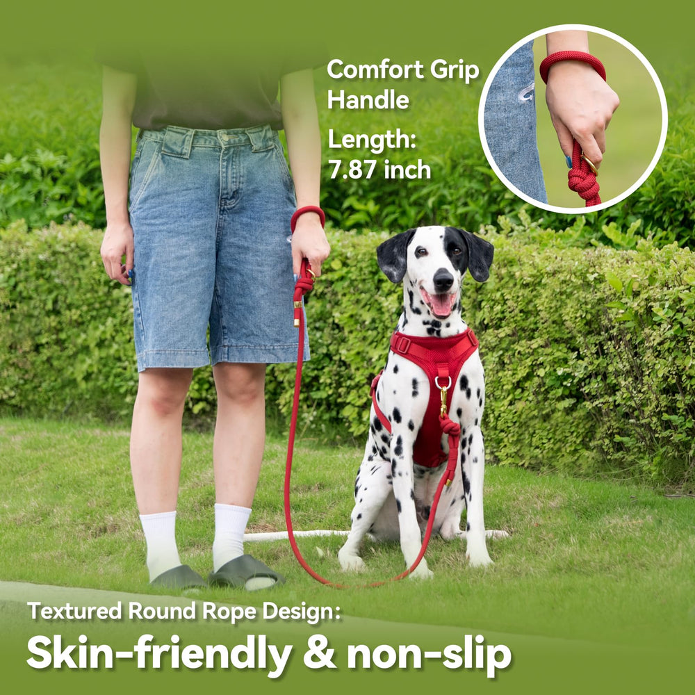 Sunraymascota dual-layer rope core delivers durability and smooth movement.